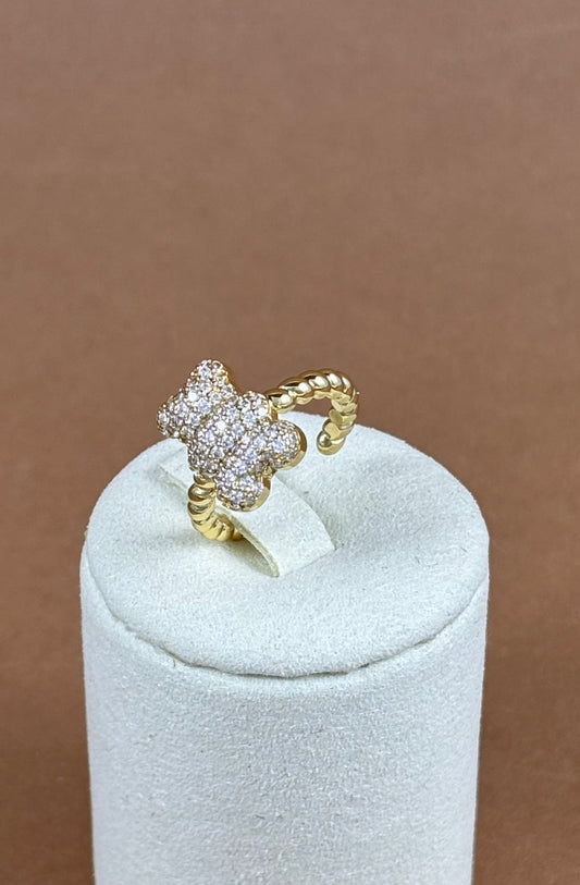 Anello Orsetto